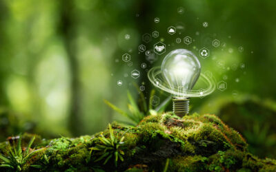 CREDIT4CE – Carbon Reduction & Innovative Transformation