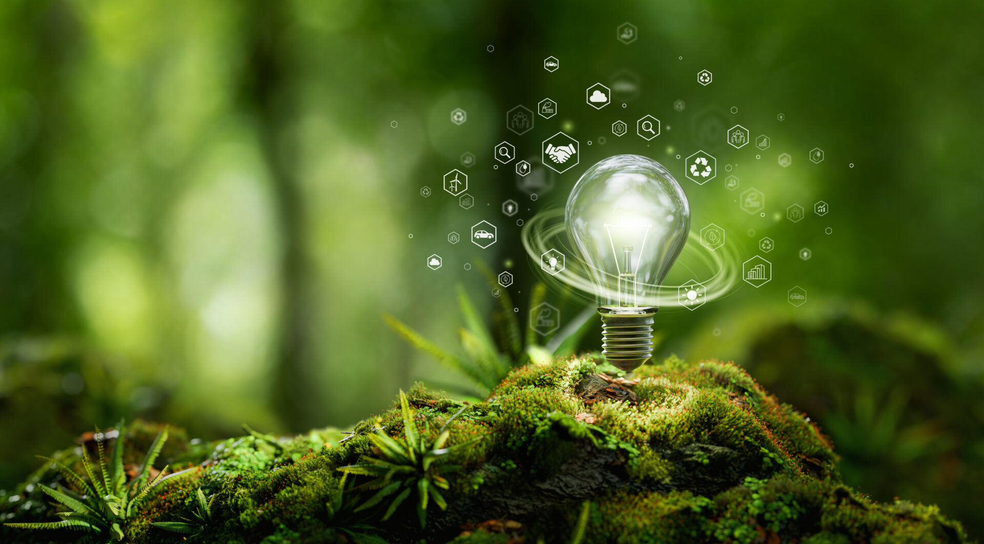 Foto: AdobeStock